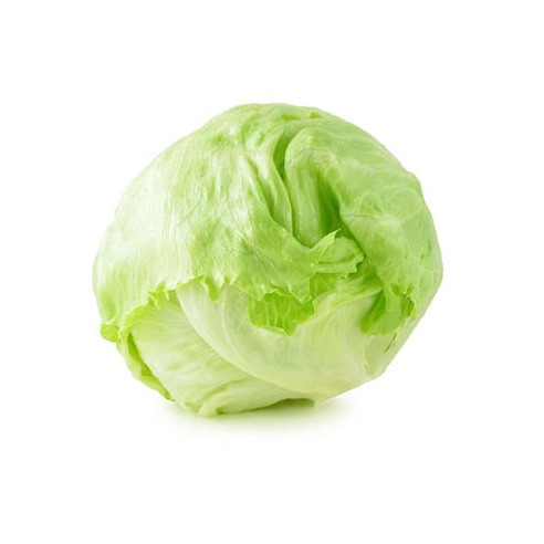 Iceberg Marul (Yarım)